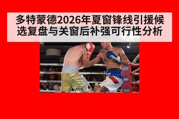 多特蒙德2026年夏窗锋线引援候选复盘与关窗后补强可行性分析