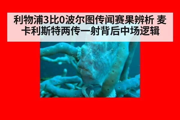 利物浦3比0波尔图传闻赛果辨析 麦卡利斯特两传一射背后中场逻辑